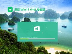 绿茶系统win11 64位 免激活企业娱乐版v2024.03